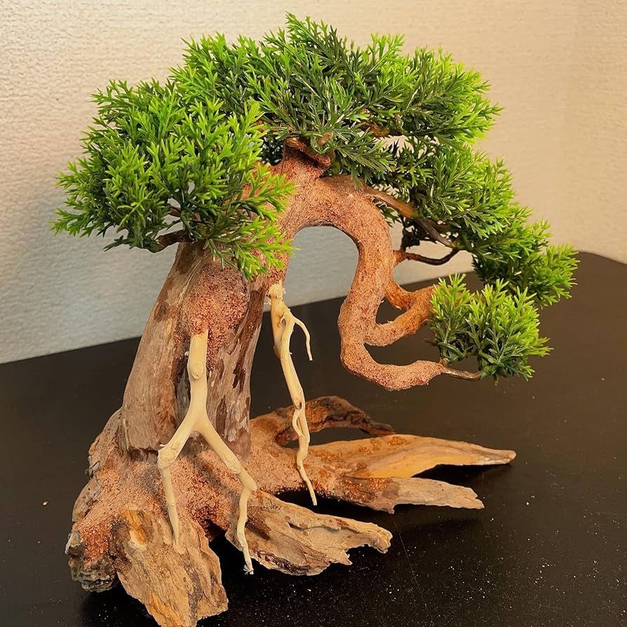 Amazon | 中型溶岩石・水草樹脂付き盆栽流木（水槽専用アート